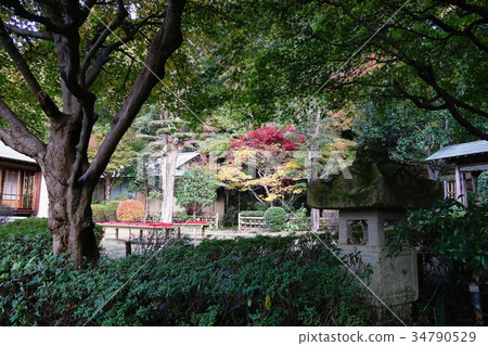 Oiso Shiroyama Park tea room Oiso Shiroyama Park tea room 34790529