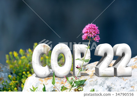 COP 22 COP 22 34790556