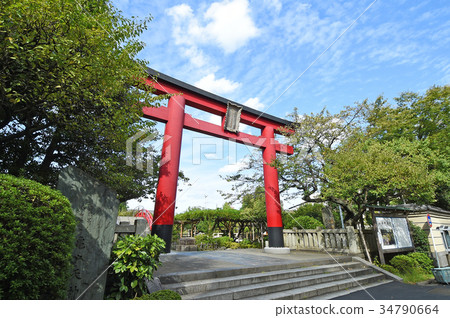 Kameido Tenjin no Torii Koto-ku, Tokyo 34790664