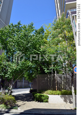 種植公寓 種植公寓 34791101