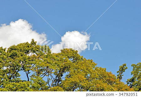 Tachiki blue sky clouds 34792051