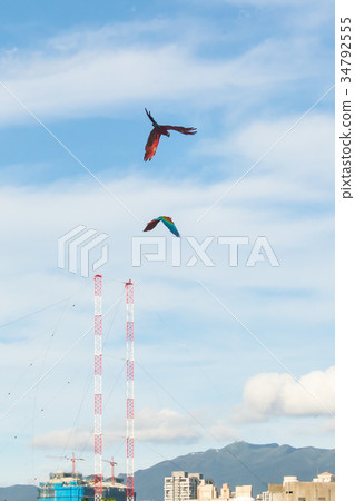 台灣，淡水，漁夫的碼頭，海鯛，天空，夏天的天空，景觀 34792555