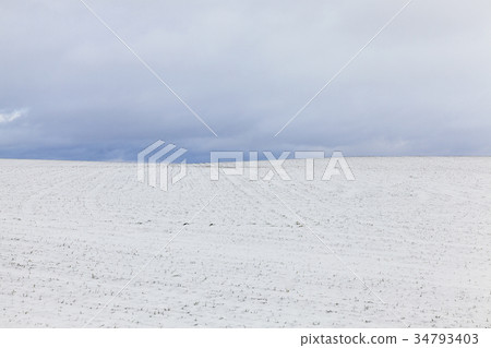 After snowfall 34793403