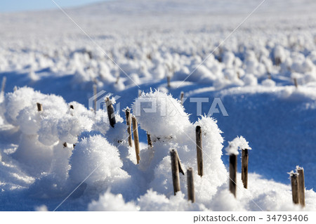 Snow drifts in winter Snow drifts in winter 34793406