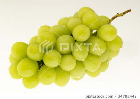 葡萄（Shine Muscat）白色 34793442