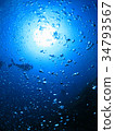 Scuba diving Landscape with divers and sun looking up from the ocean floor 34793567