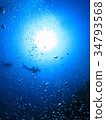 Scuba diving Landscape with divers and sun looking up from the ocean floor 34793568