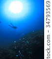Scuba diving Landscape with divers and sun looking up from the ocean floor 34793569