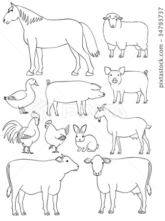 農場動物材料線圖紙 34793737