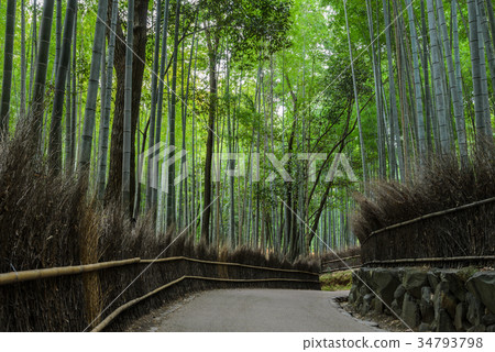 Arashiyama bamboo forest in Kyoto, Japan 34793798