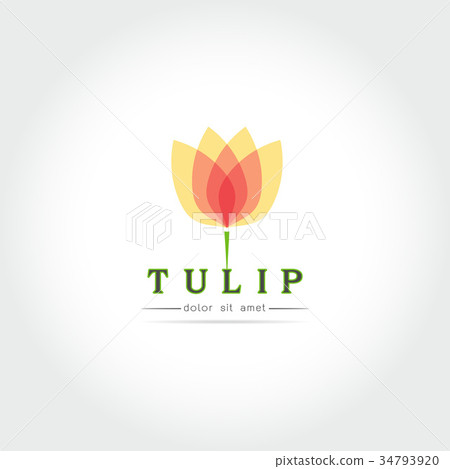 Simple Tulip bud with leaves design 34793920