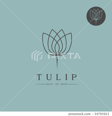 Simple Tulip bud with leaves design 34793921