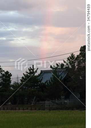 Rainbow Rainbow 34794489