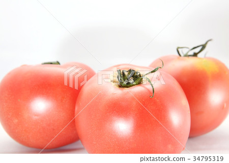 Tomato Tomato 34795319