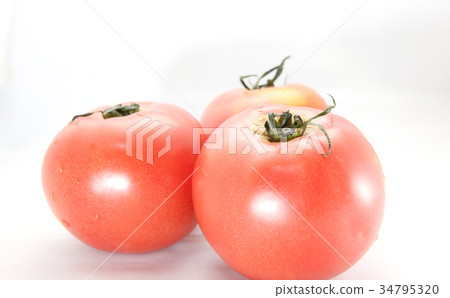 Tomato Tomato 34795320