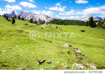 Prato Piazza, famous plateau in the Dolomites Prato Piazza, famous plateau in the Dolomites 34795386