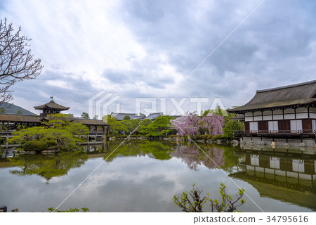 [春天]平安神宮的太平閣 34795616