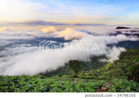 beautiful brightblue sky and fog cloud view  34796193