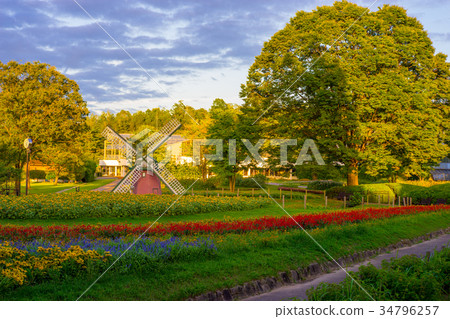 Hyogo Prefectural Kasai Flower Center (1282-1 Iimori, Toyokura Town, Kasai City, Hyogo Prefecture) *Photo location information is available in the comment field 34796257