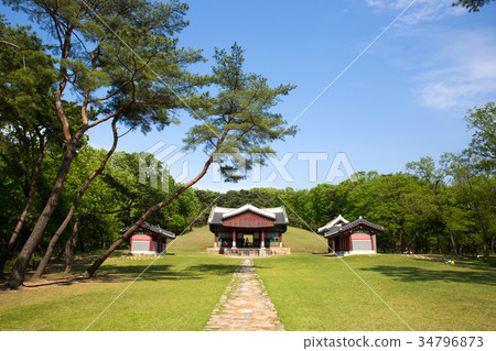 Saneung, Paju 34796873