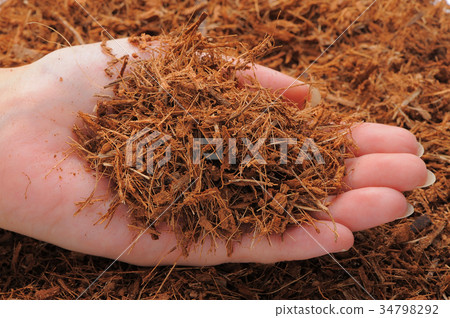 Wood chip 34798292