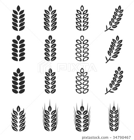 vector of wheat icons set 34798467