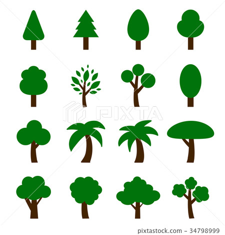 vector of tree icon set vector of tree icon set 34798999