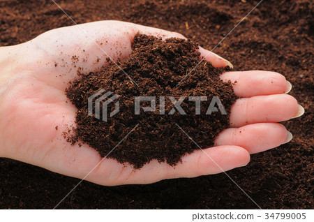Fertilizer Compost 34799005