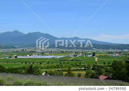 Landscape of Naka Furano 34799398