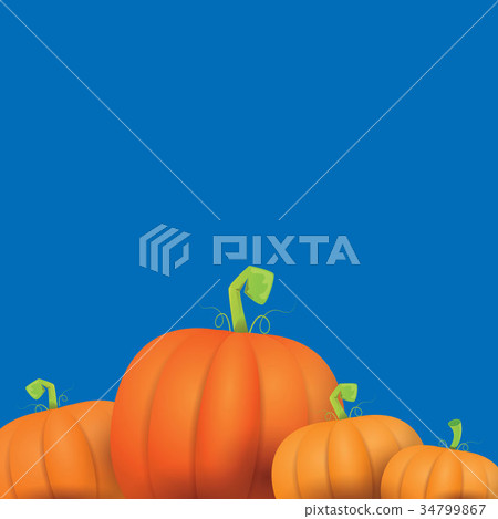 autumn vector orange pumpkins border design 34799867