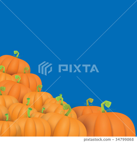 autumn vector orange pumpkins border design 34799868