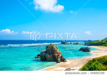 Iheya島 34800199
