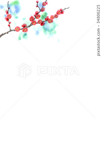 Flower postcard material painted with watercolor Flower postcard material painted with watercolor 34800225