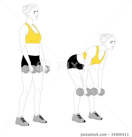 The girl is doing sports exercises with dumbbells - Stock Illustration ...