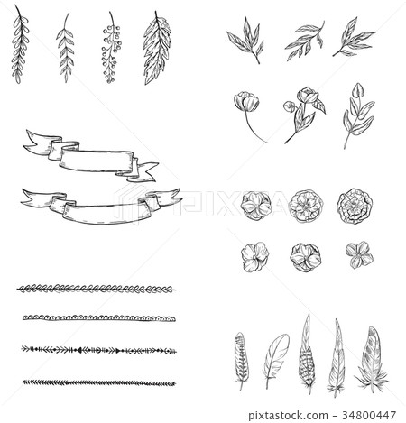 Set of hand drawn elements flower 34800447