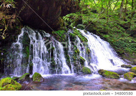 Toriumiyama Mototaki Shimizu 34800580