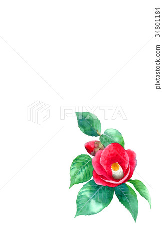 花水彩畫的明信片材料 34801184