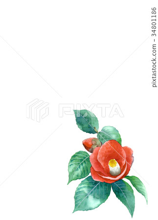 花水彩畫的明信片材料 34801186