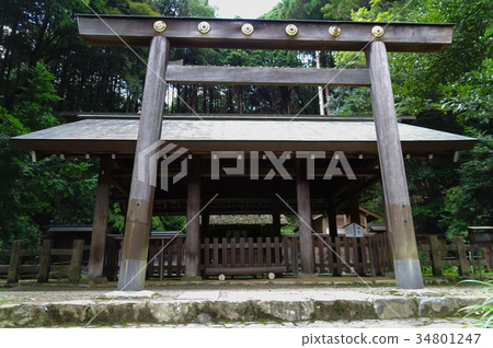 Hyuga Okamiya Uchiya 34801247