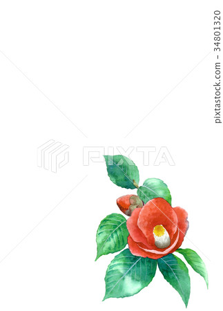 Flower postcard material drawn by watercolor 34801320