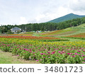 花田和山 34801723