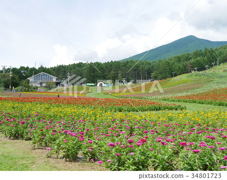 花田和山 花田和山 34801723