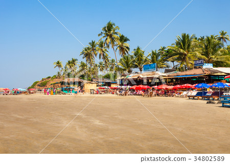 Beach in Goa, India Beach in Goa, India 34802589