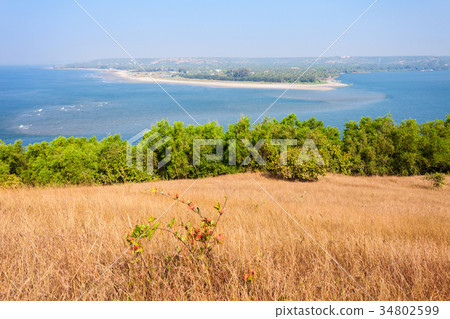 Beach in Goa, India 34802599