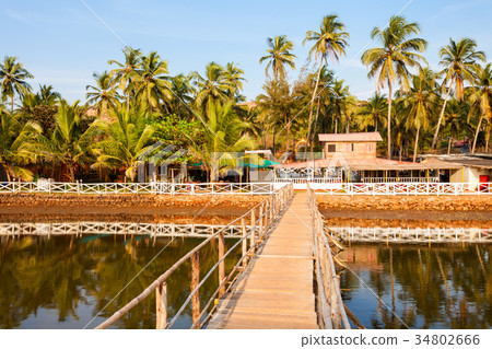 Mandrem beach Goa India 34802666