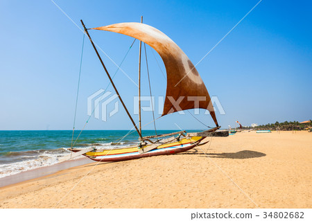 Fishing boats in Negombo Fishing boats in Negombo 34802682