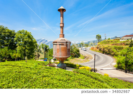 Nuwara Eliya tea plantation Nuwara Eliya tea plantation 34802987