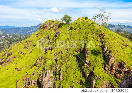 Little Adams Peak, Ella Little Adams Peak, Ella 34803021