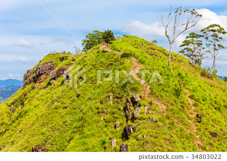 Little Adams Peak, Ella Little Adams Peak, Ella 34803022