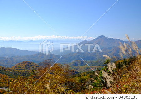 秋天的樹葉 34803135